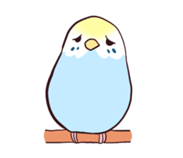 Budgerigar mood sticker #732105