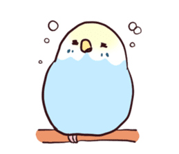 Budgerigar mood sticker #732122