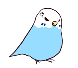 Budgerigar mood sticker #732123