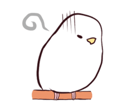 Budgerigar mood sticker #732127
