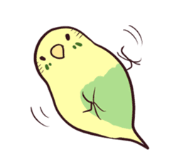 Budgerigar mood sticker #732128