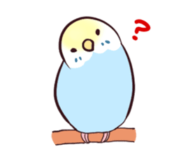 Budgerigar mood sticker #732131