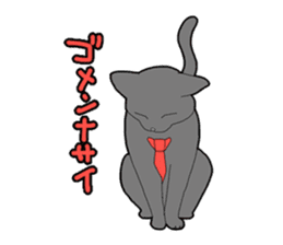 Snazzy cat Noah sticker #733033