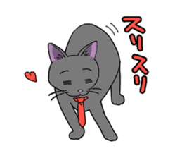 Snazzy cat Noah sticker #733056