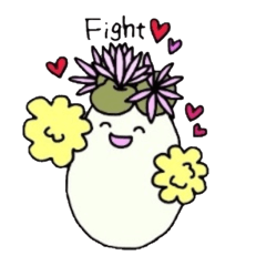 Succulent in egg shell