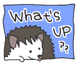 Hedgehogs Haribo family English Ver. sticker #735670