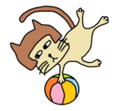 The cat of a bobbed hair style. sticker #736185