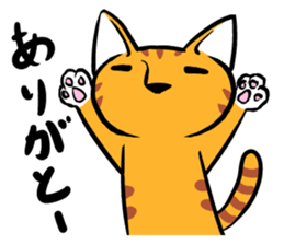 Daily of Tabby sticker #737463