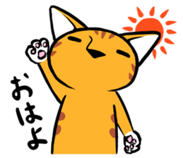 Daily of Tabby sticker #737464