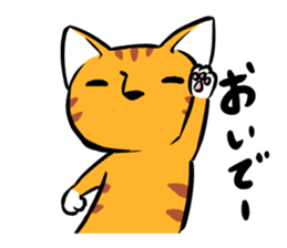Daily of Tabby sticker #737466