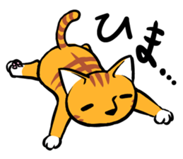 Daily of Tabby sticker #737467