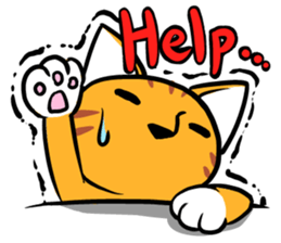 Daily of Tabby sticker #737468