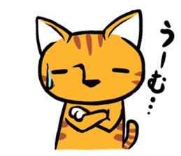Daily of Tabby sticker #737472