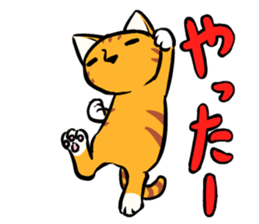 Daily of Tabby sticker #737482