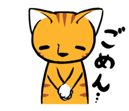 Daily of Tabby sticker #737483