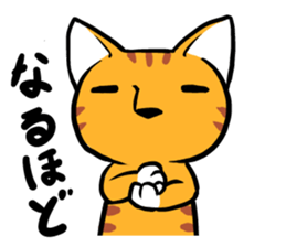 Daily of Tabby sticker #737484