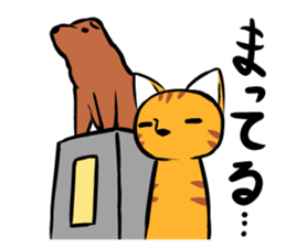 Daily of Tabby sticker #737500
