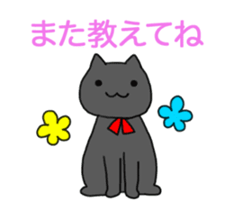 A black cat is various sticker #737557