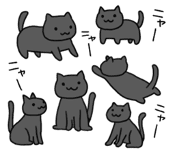 A black cat is various sticker #737575