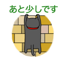 A black cat is various sticker #737576