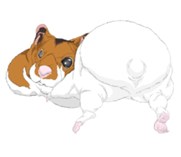 animals sticker 2 sticker #738984