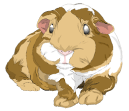 animals sticker 2 sticker #738997