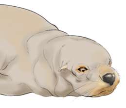 animals sticker 2 sticker #739014