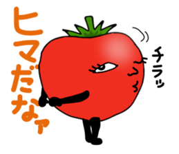 TOMATO sticker #739529