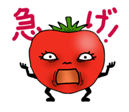 TOMATO sticker #739541