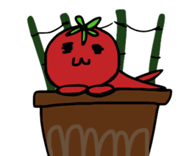 tomatoes rejoice sticker #741582