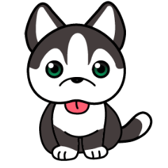 Sora, the cute siberian husky