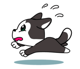 Sora, the cute siberian husky sticker #741787