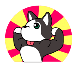 Sora, the cute siberian husky sticker #741789