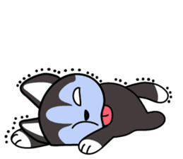 Sora, the cute siberian husky sticker #741791