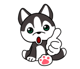 Sora, the cute siberian husky sticker #741792