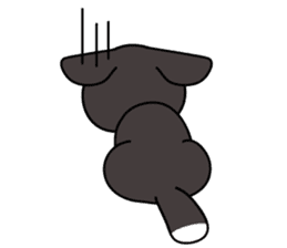 Sora, the cute siberian husky sticker #741793