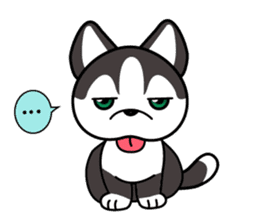 Sora, the cute siberian husky sticker #741794