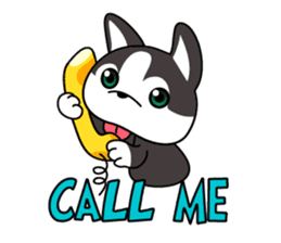Sora, the cute siberian husky sticker #741797