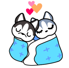 Sora, the cute siberian husky sticker #741802