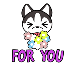 Sora, the cute siberian husky sticker #741804