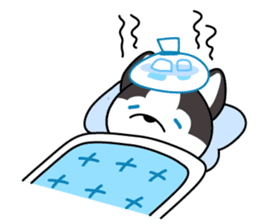 Sora, the cute siberian husky sticker #741805