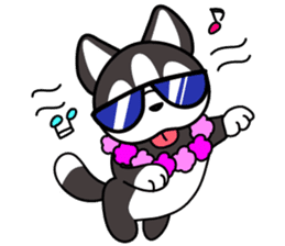 Sora, the cute siberian husky sticker #741808