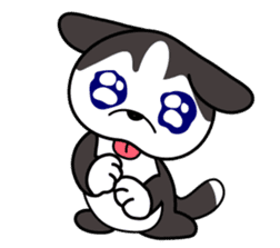 Sora, the cute siberian husky sticker #741815