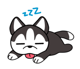 Sora, the cute siberian husky sticker #741817