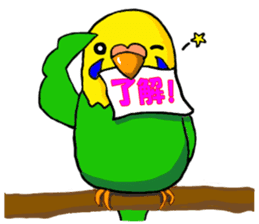 The Budgerigars sticker #744423