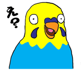The Budgerigars sticker #744427