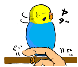 The Budgerigars sticker #744430