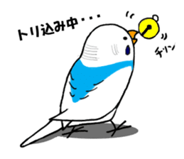 The Budgerigars sticker #744439