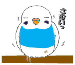 The Budgerigars sticker #744442