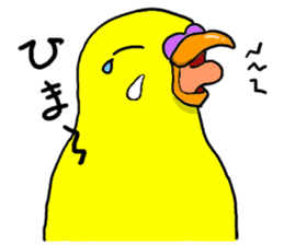 The Budgerigars sticker #744444